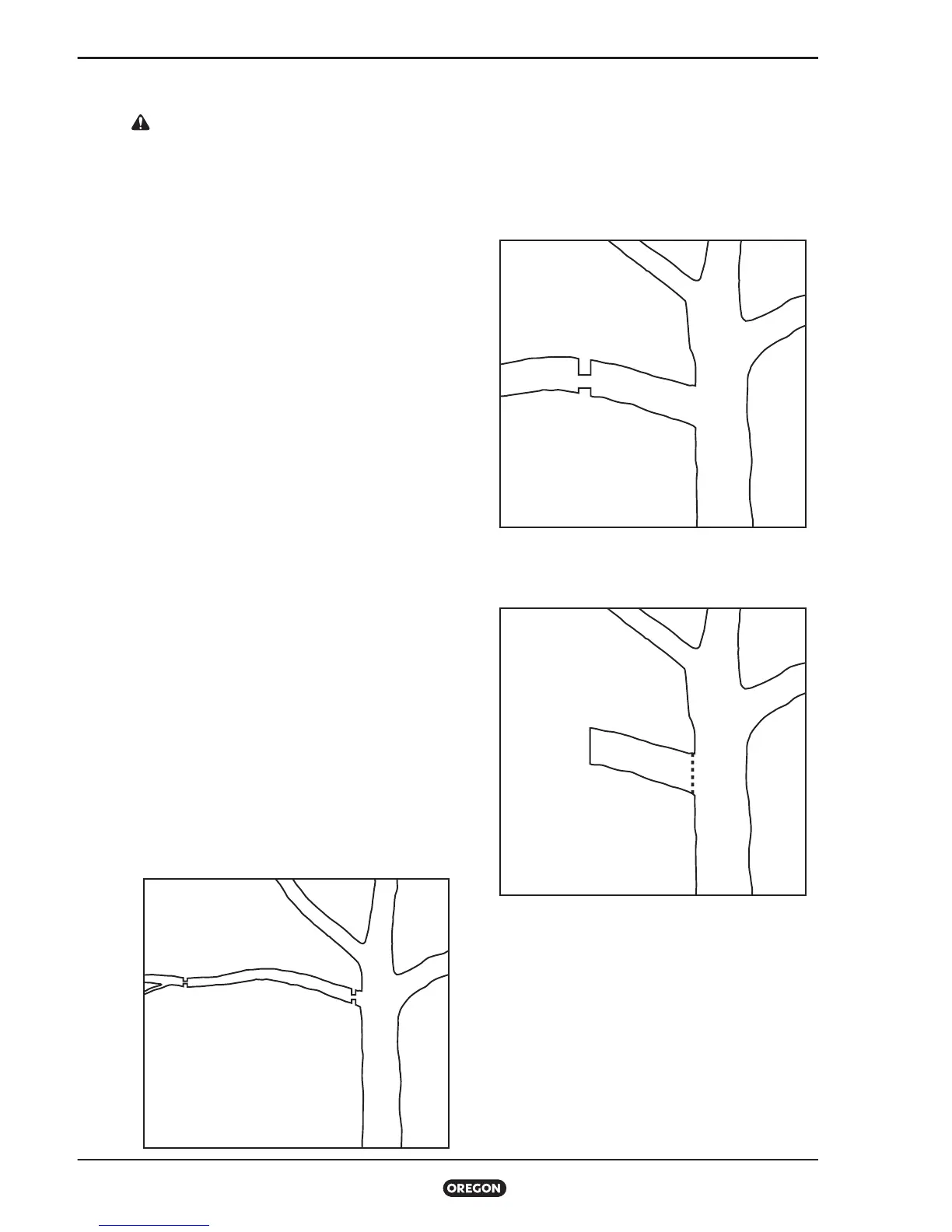 Page #562 background image