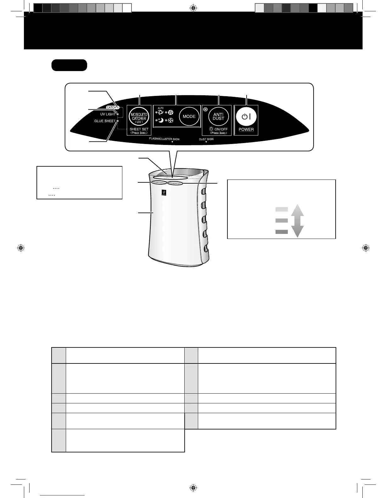 Page #6 background image