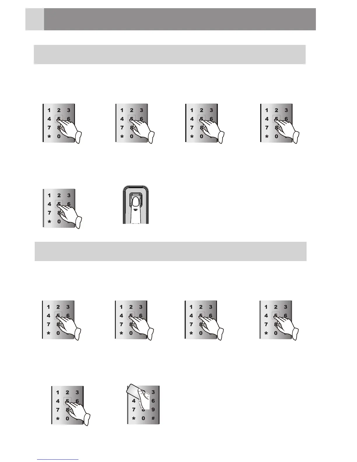 Page #12 background image