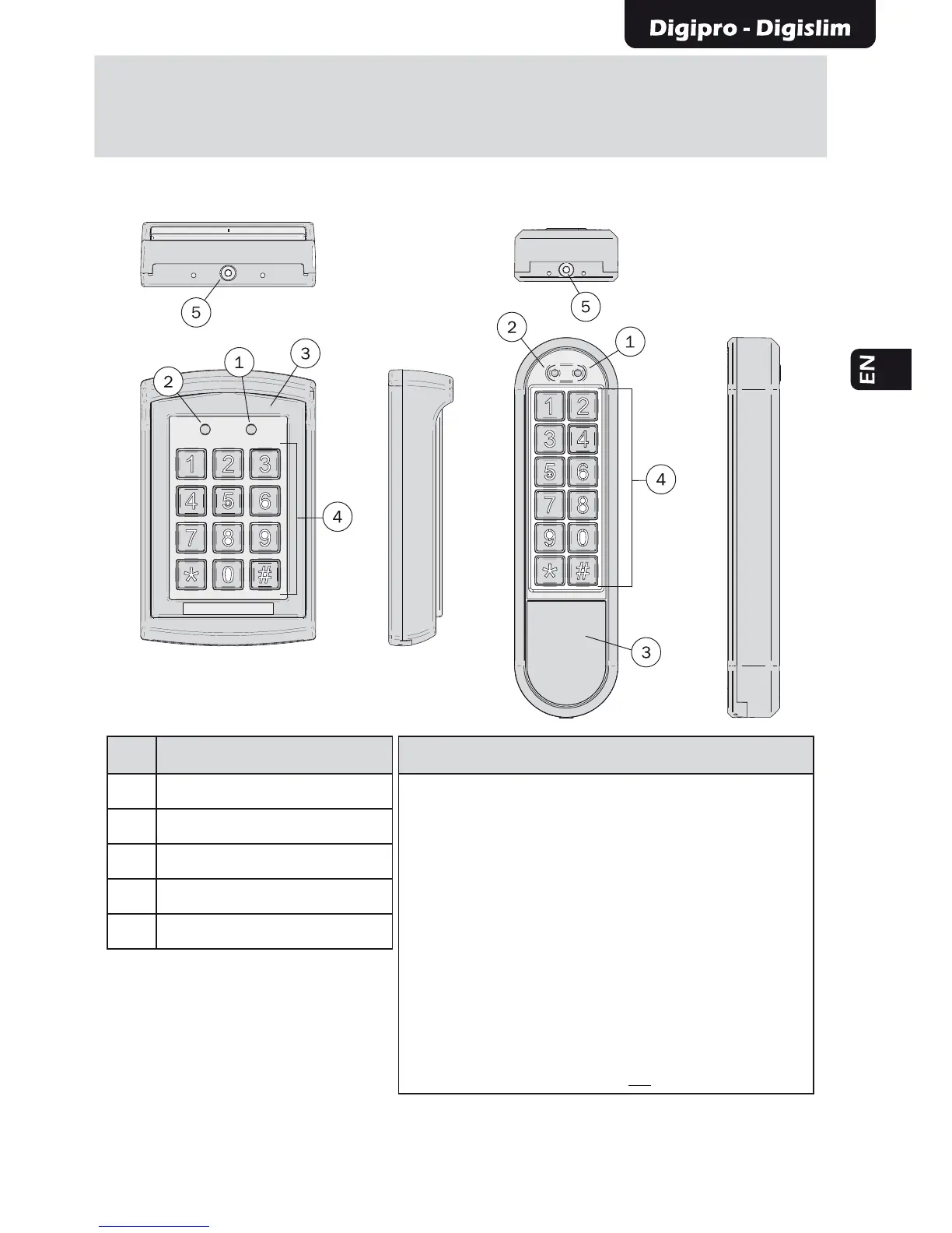 Page #2 background image