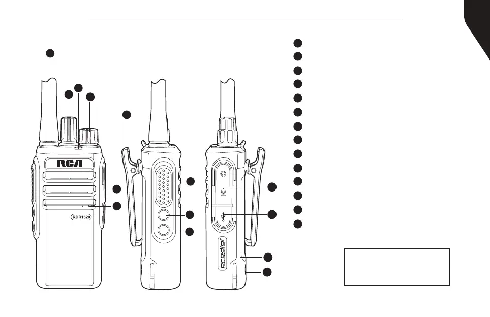 Page #5 background image
