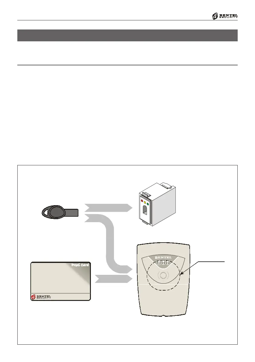 Page #36 background image