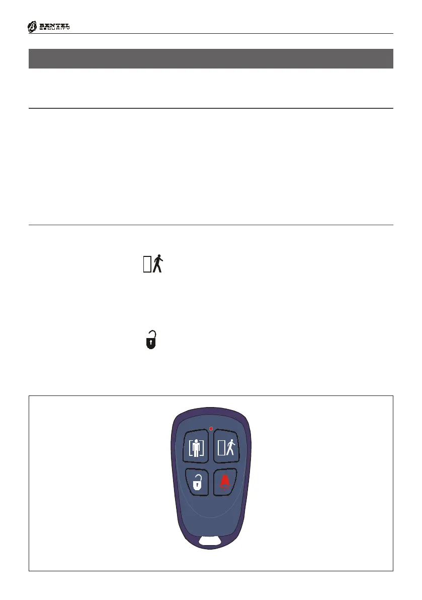 Page #49 background image
