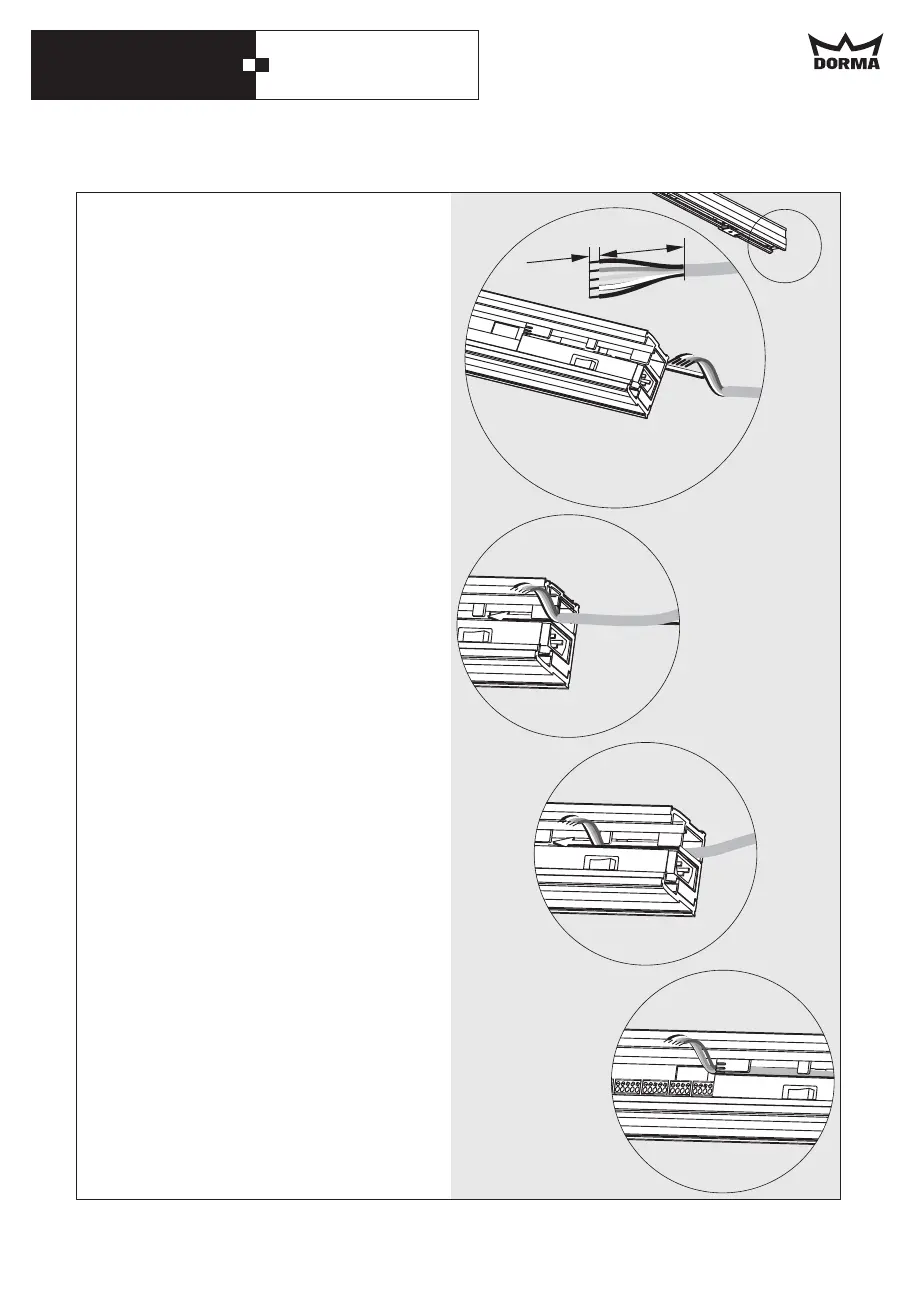 Page #29 background image
