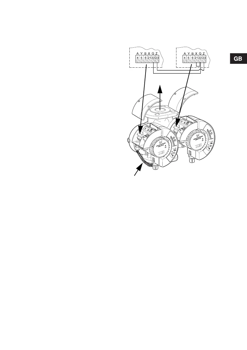 Page #13 background image