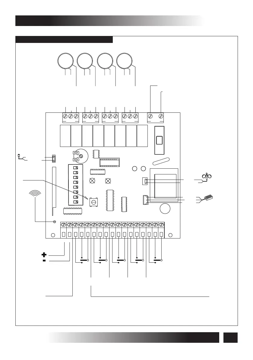 Page #24 background image