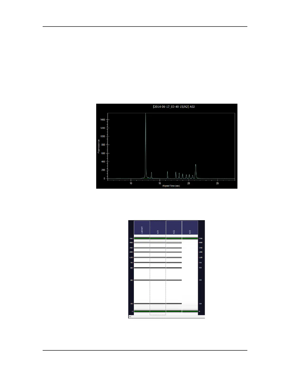 Page #21 background image