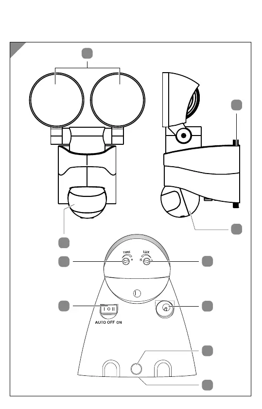 Page #3 background image