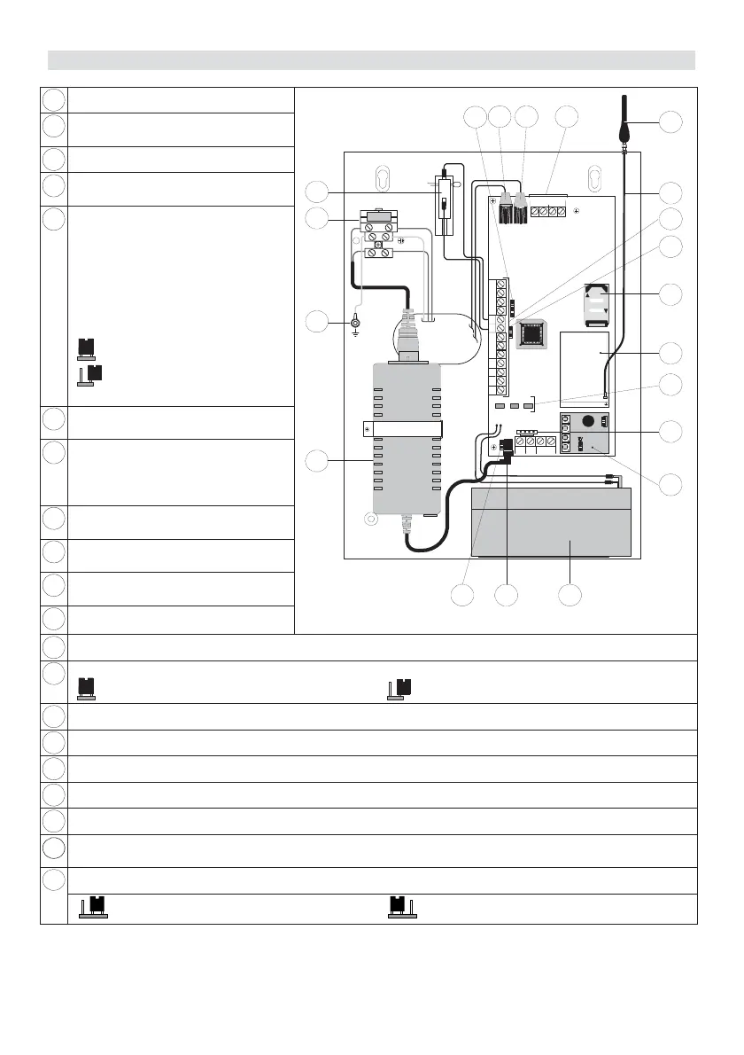 Page #5 background image