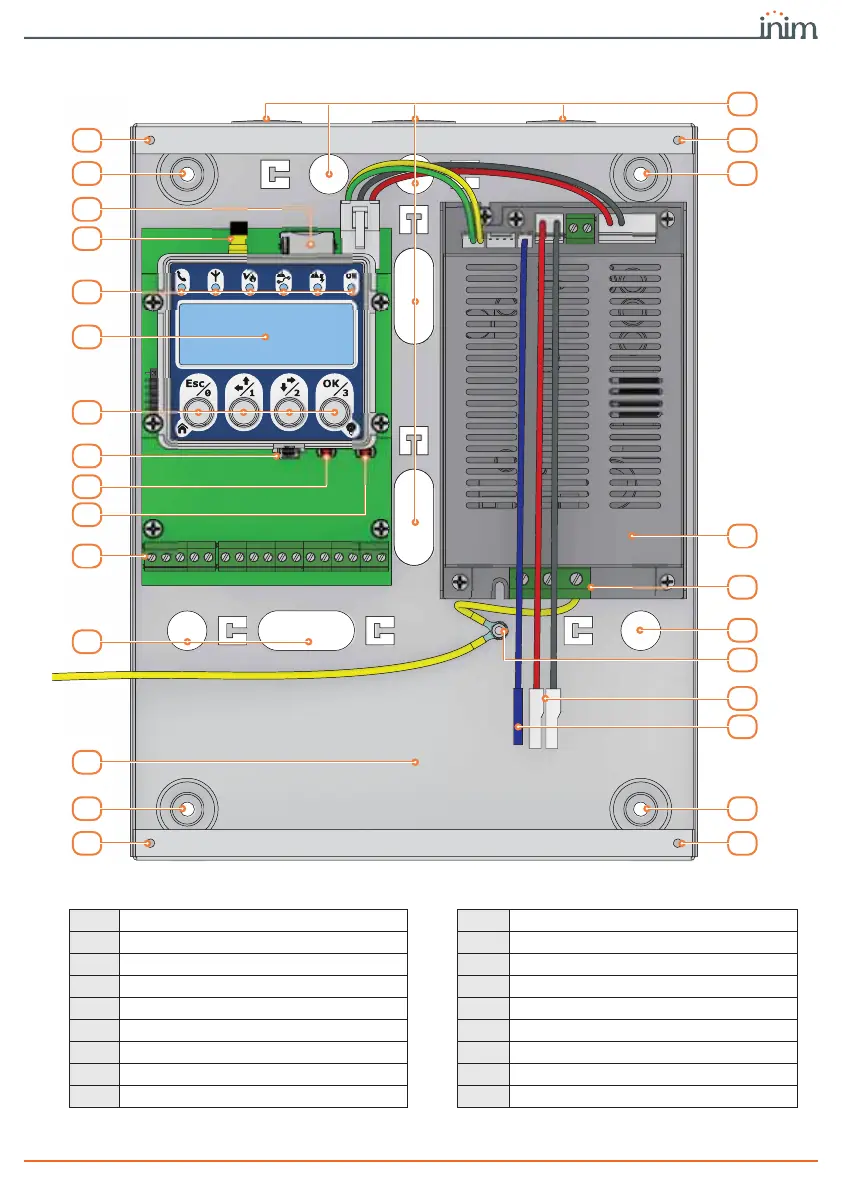 Page #7 background image