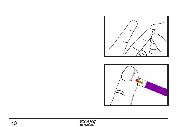 Page #44 background image