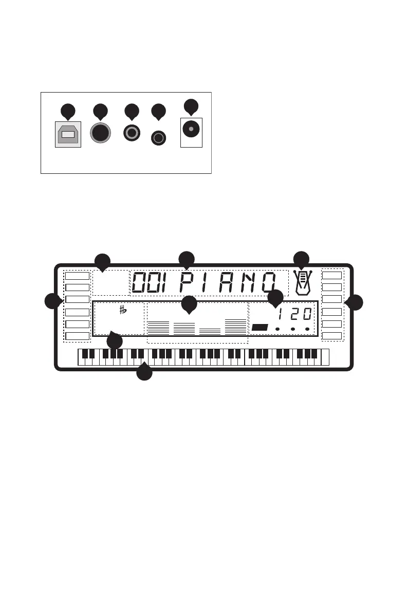 Page #8 background image
