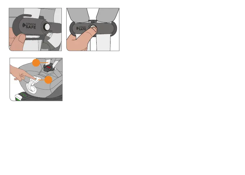 Page #66 background image