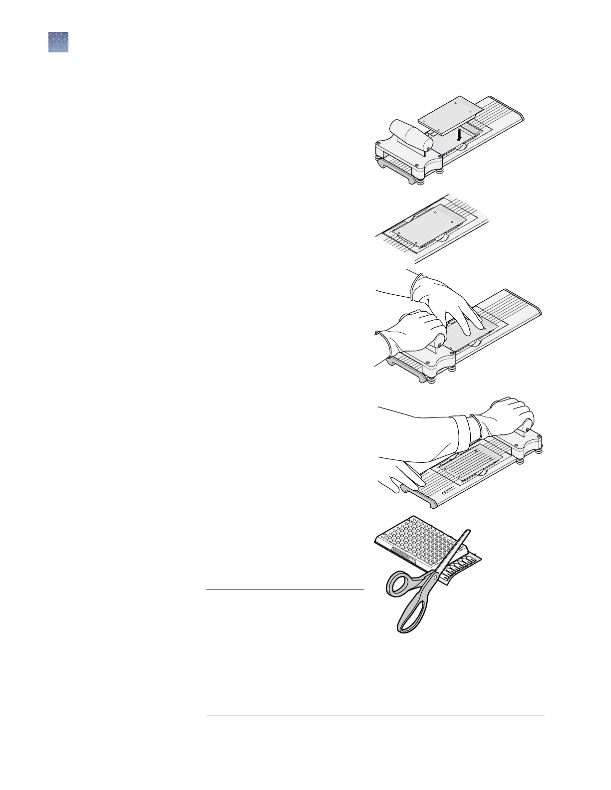 Page #40 background image