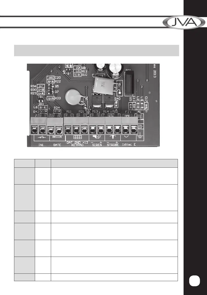 Page #17 background image