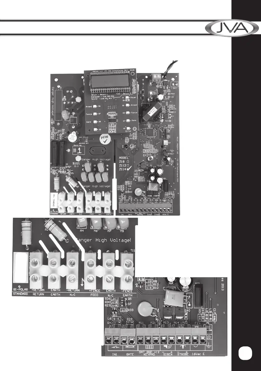 Page #13 background image