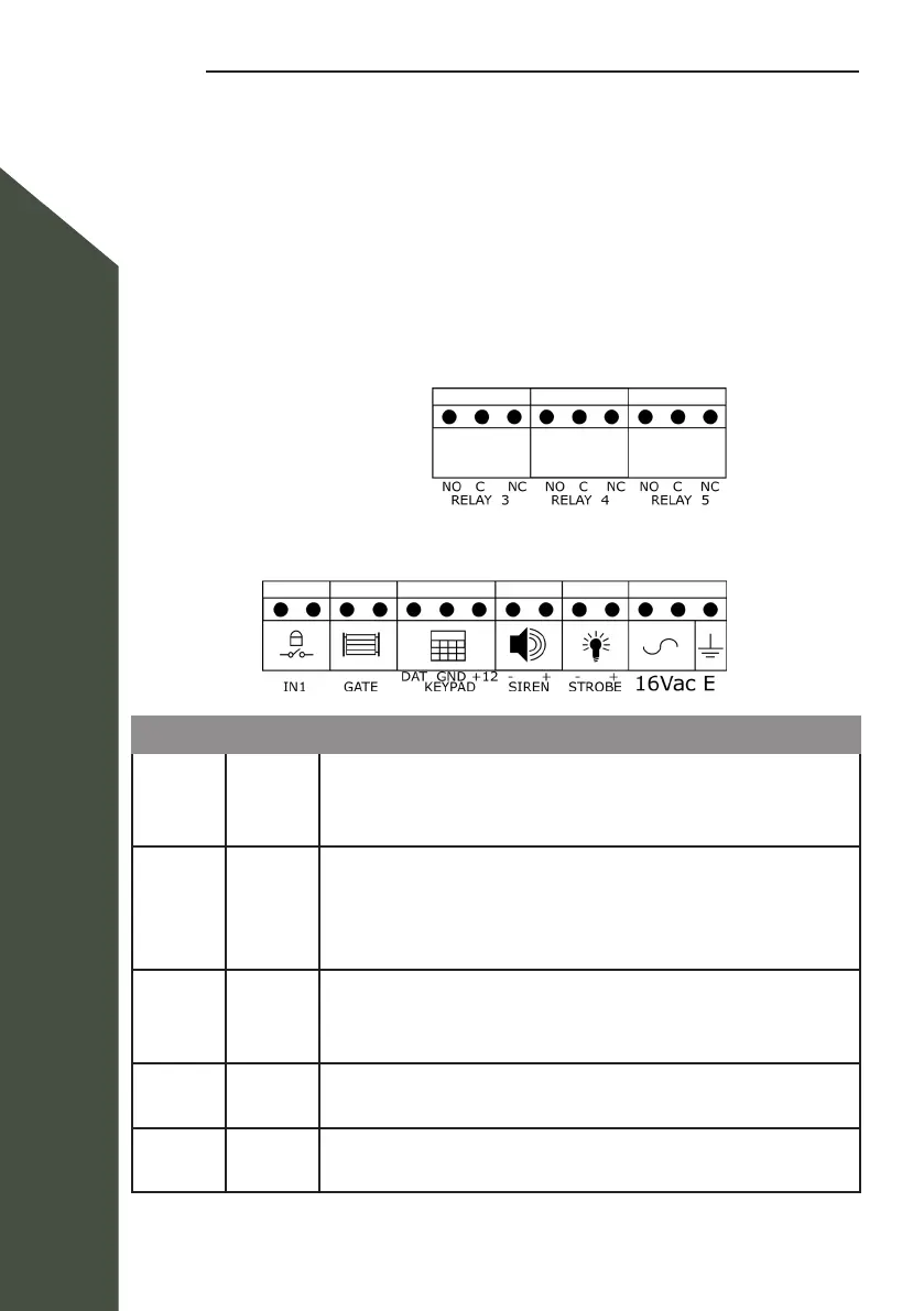 Page #2 background image