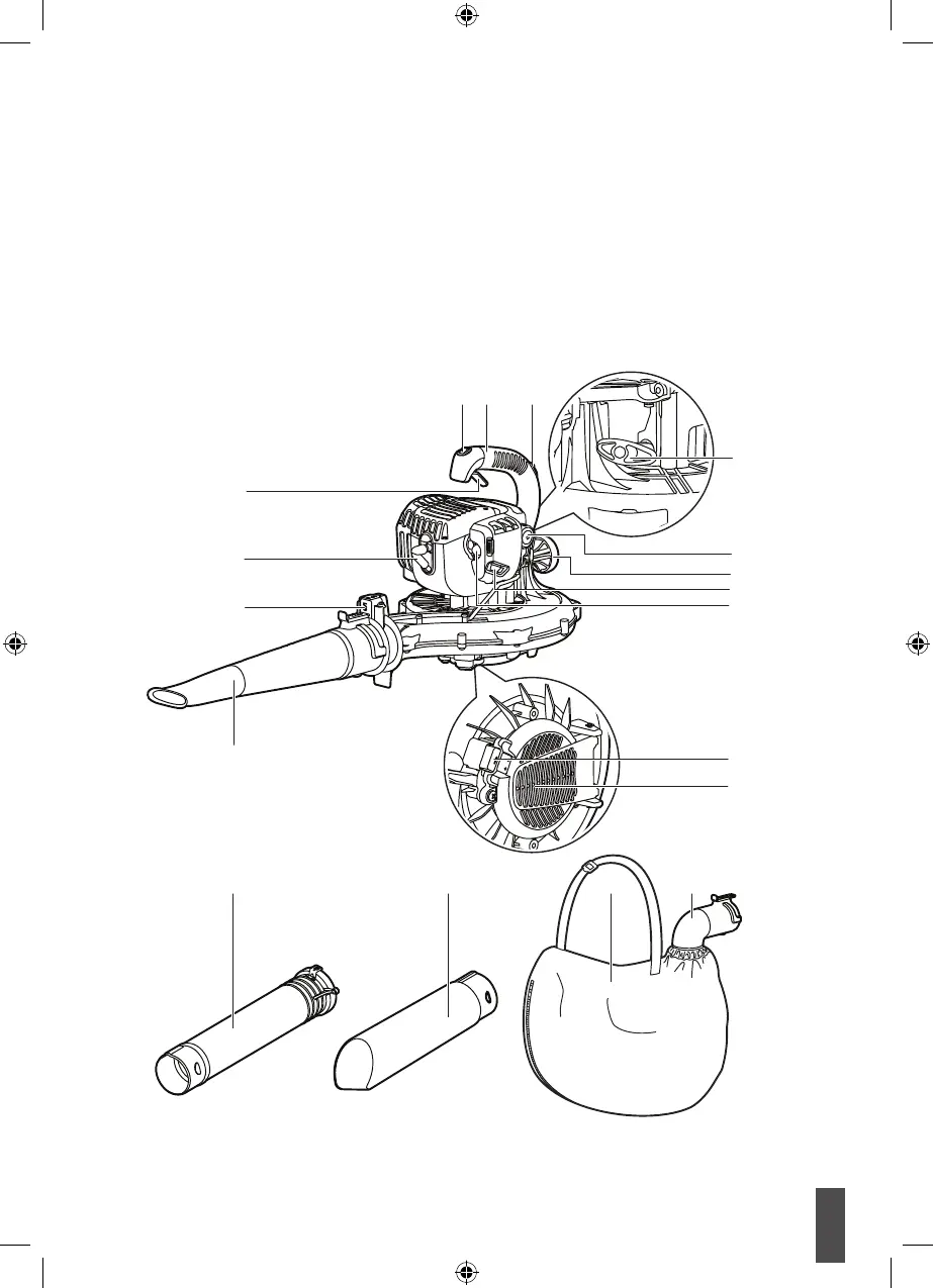 Page #17 background image