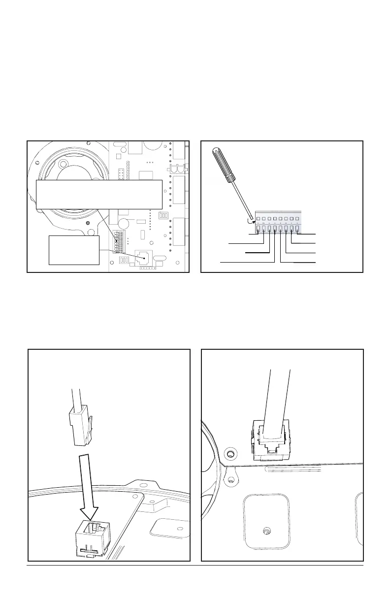 Page #55 background image