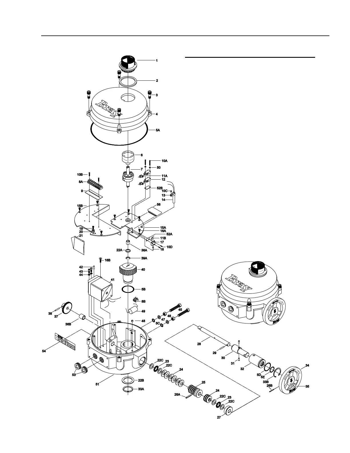 Page #23 background image