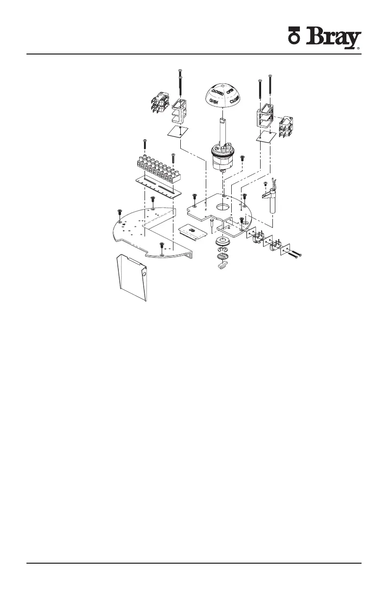 Page #29 background image