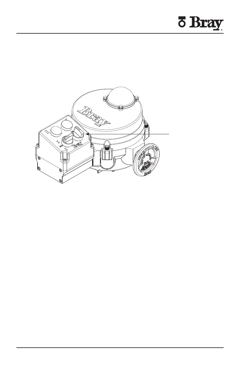 Page #36 background image