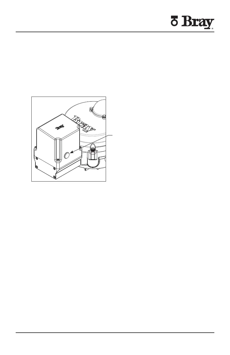 Page #38 background image