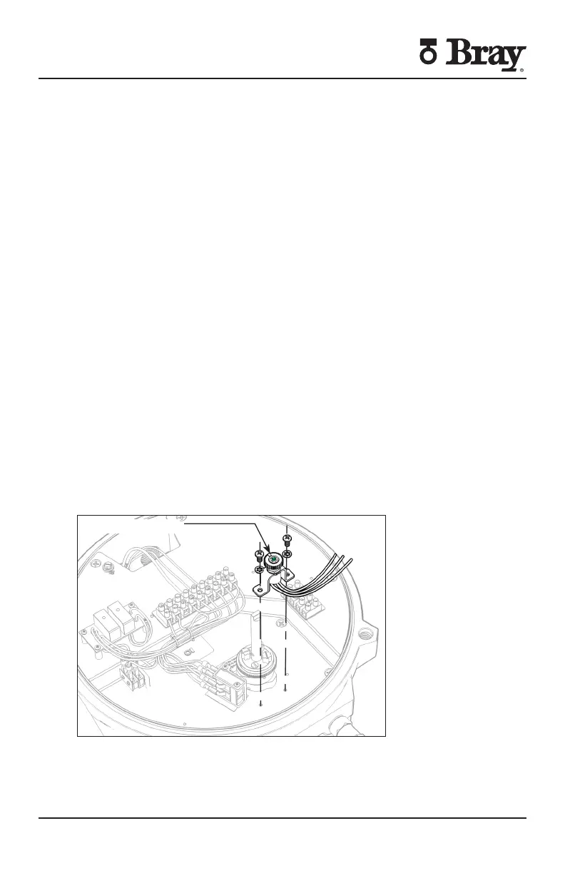 Page #41 background image