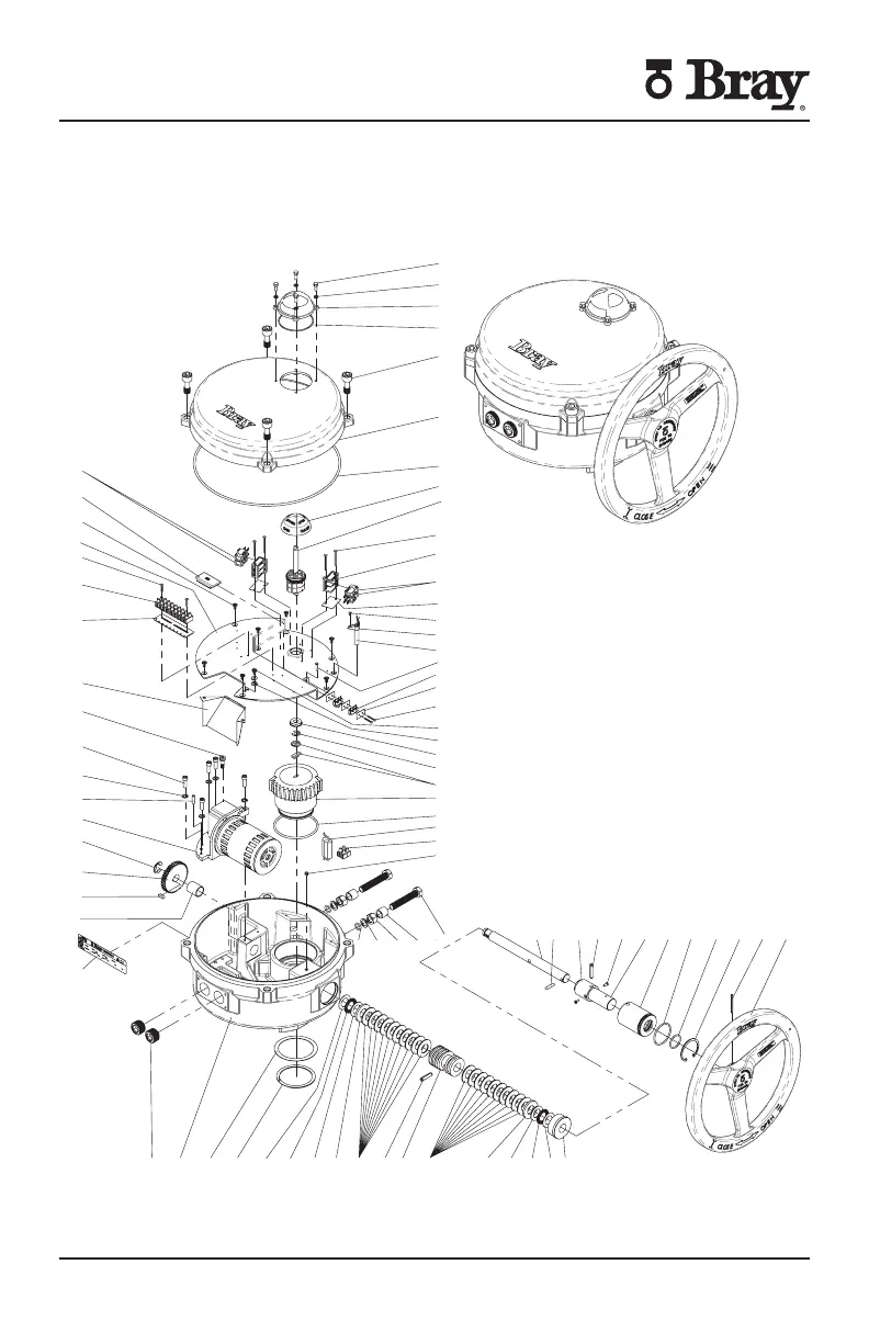 Page #10 background image