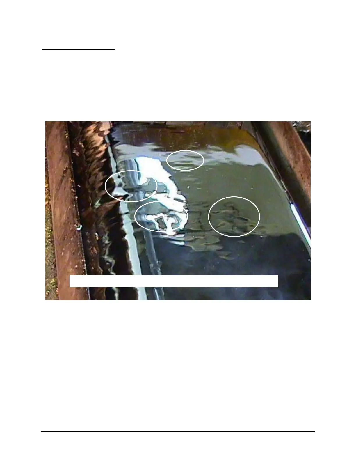 Page #197 background image
