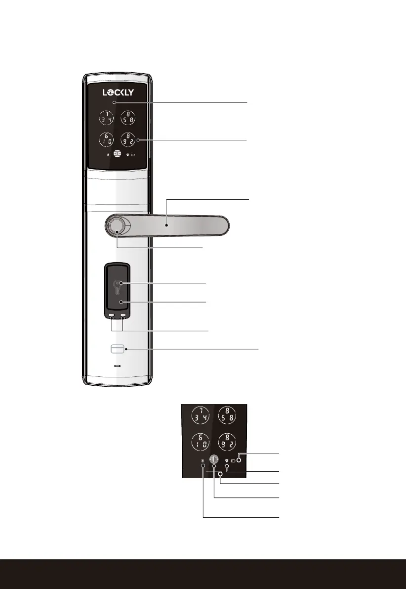 Page #5 background image