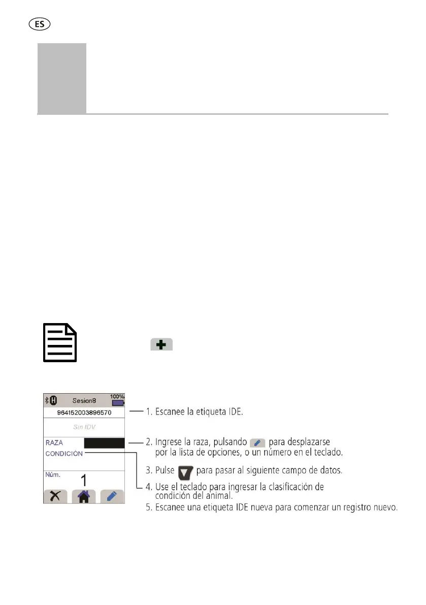 Page #26 background image