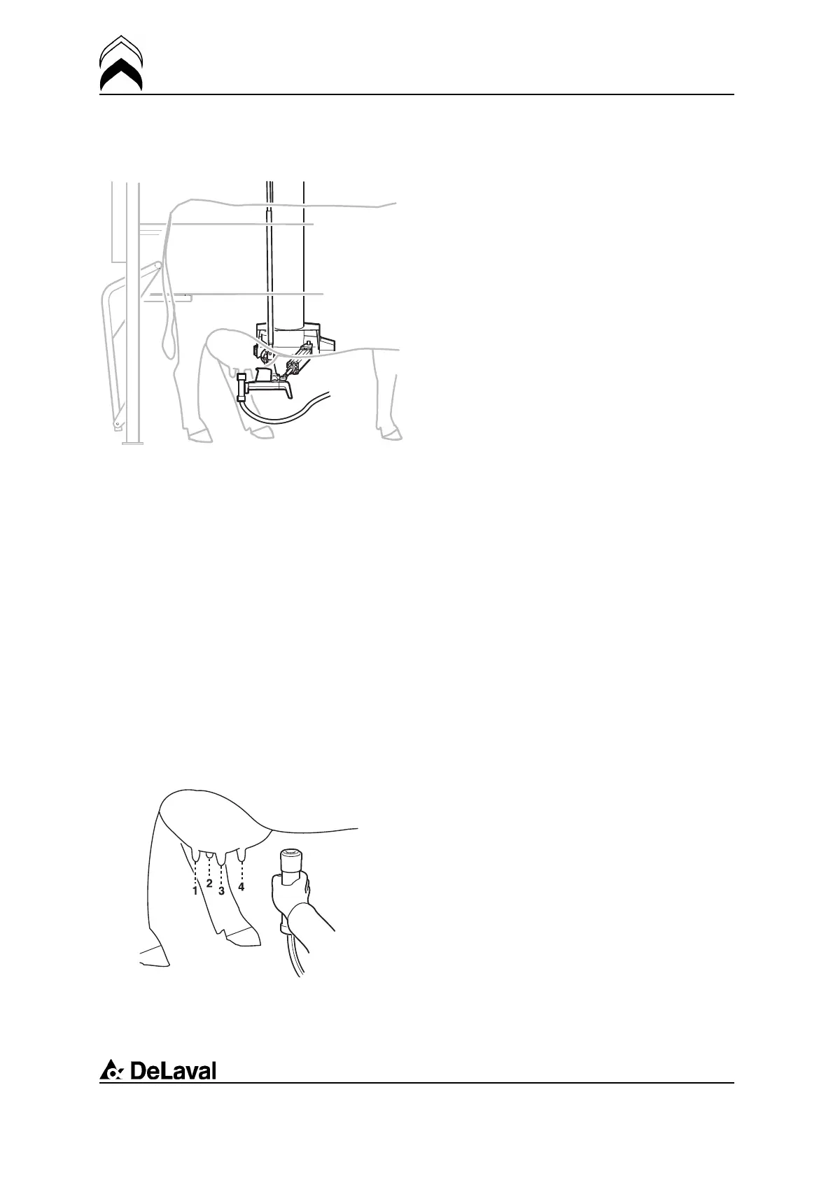 Page #53 background image