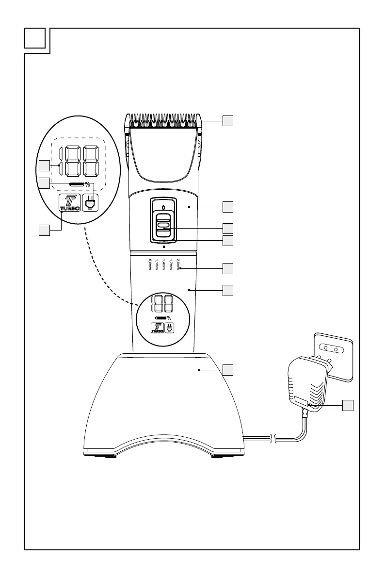 Page #3 background image