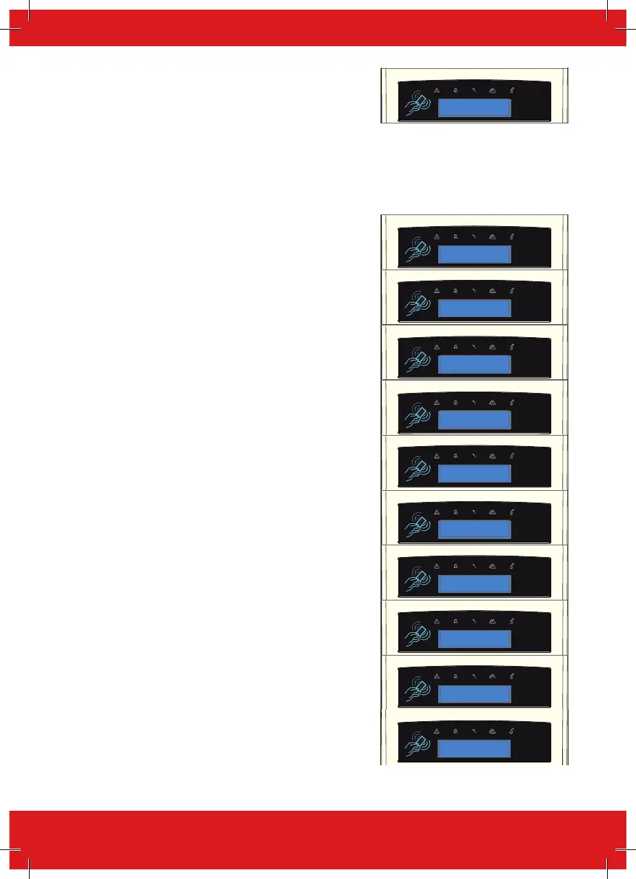 Page #17 background image