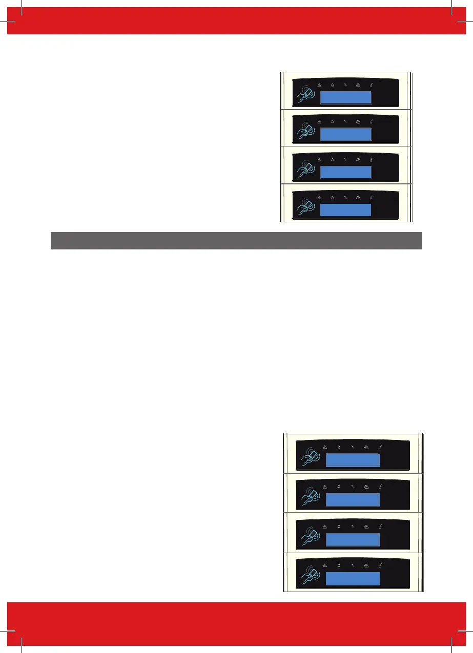 Page #14 background image