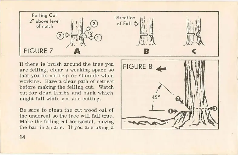 Page #14 background image
