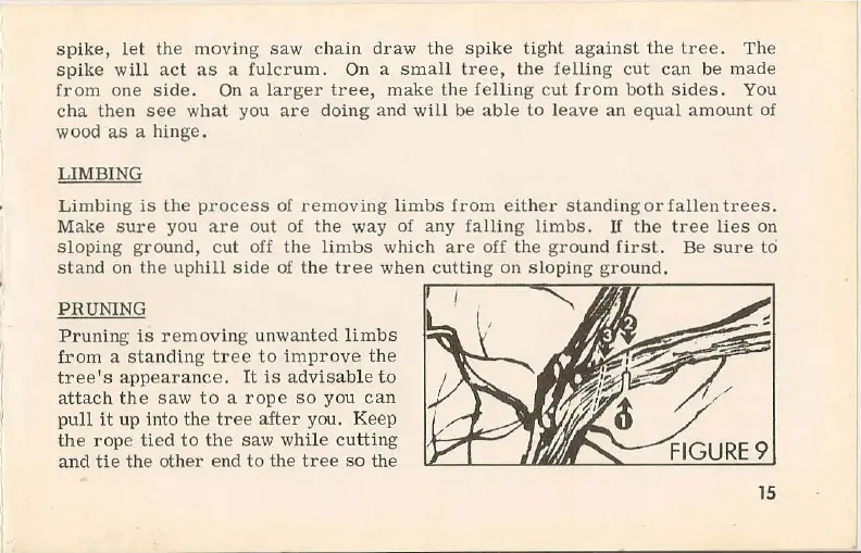 Page #15 background image