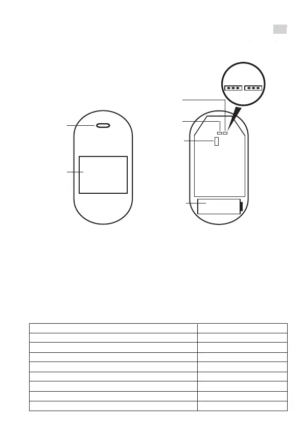 Page #13 background image