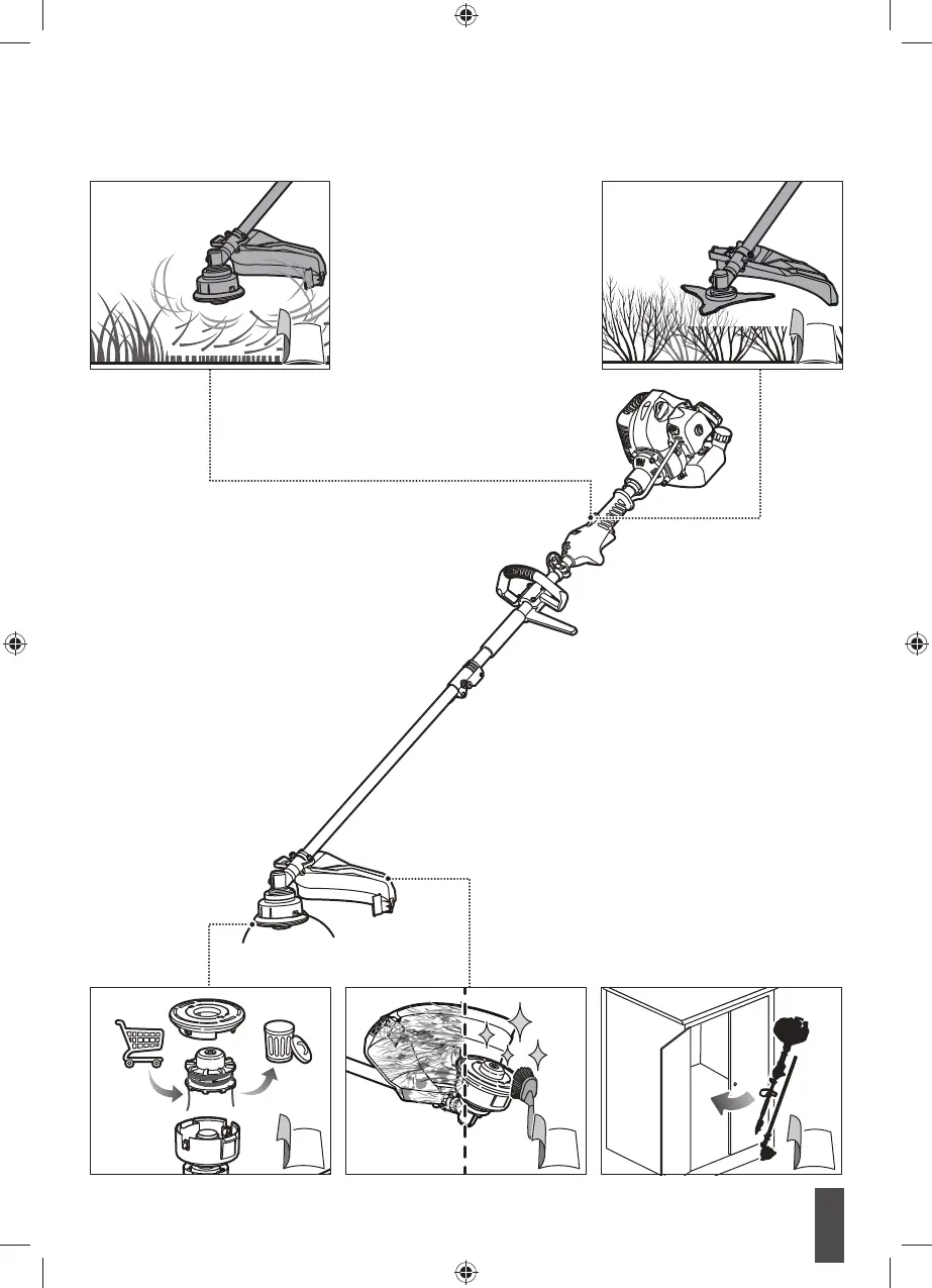 Page #19 background image