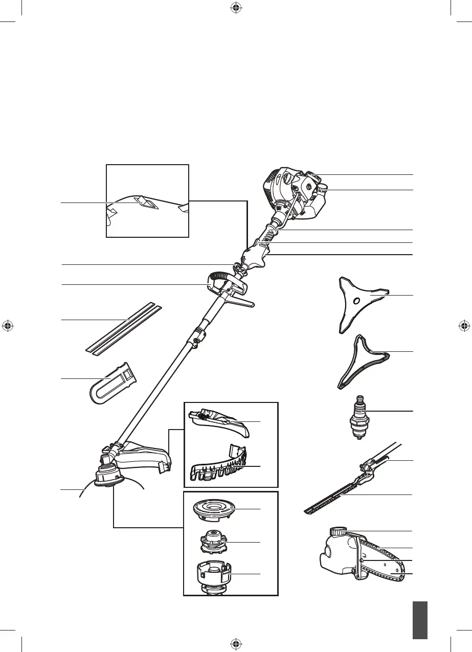 Page #15 background image