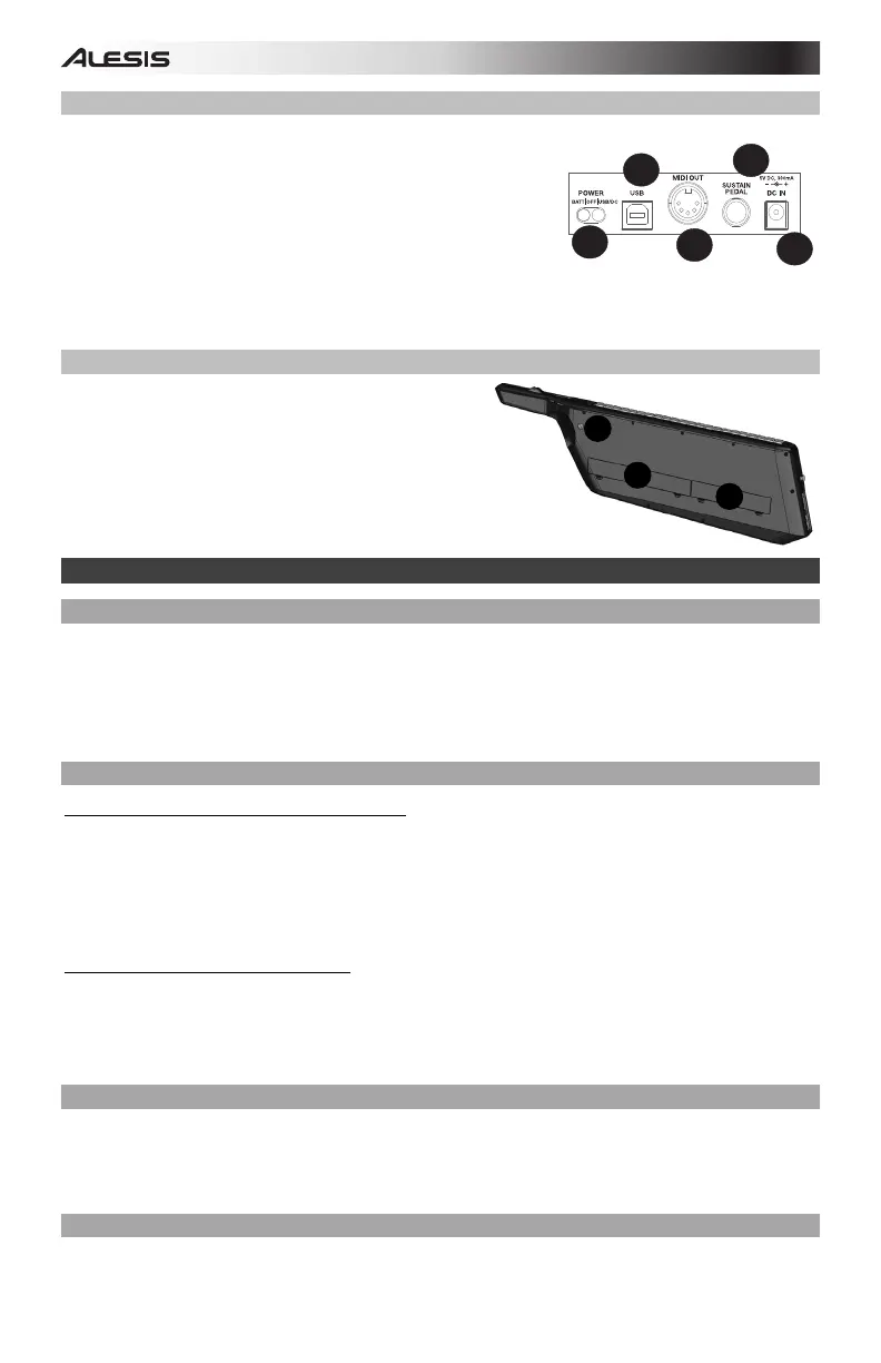 Page #4 background image