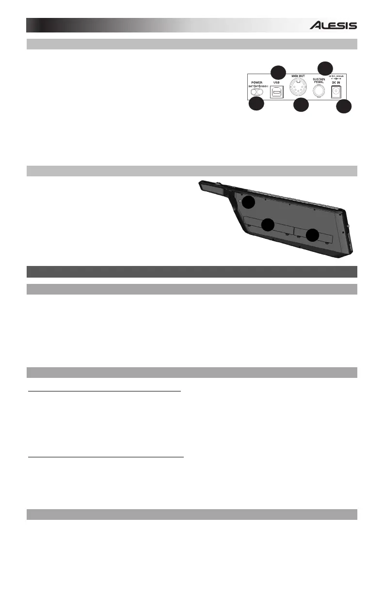 Page #13 background image