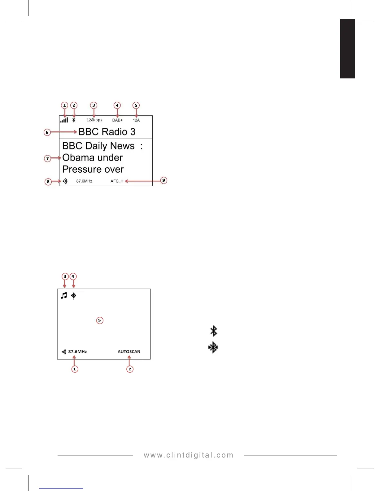 Page #8 background image