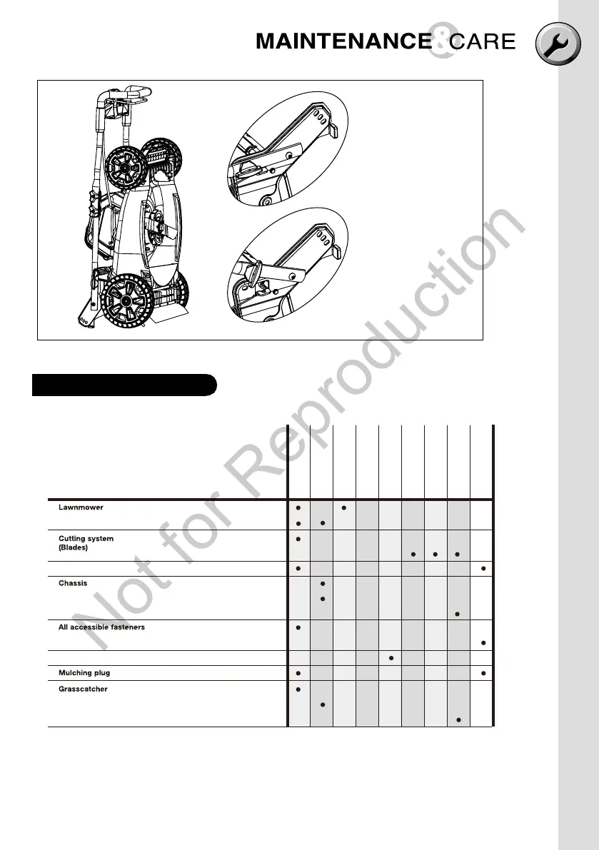 Page #15 background image