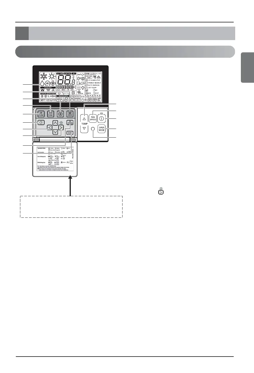 Page #21 background image