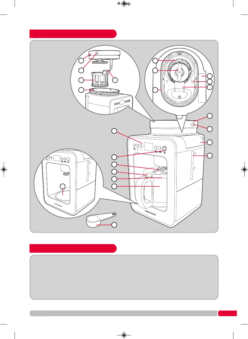 Page #3 background image