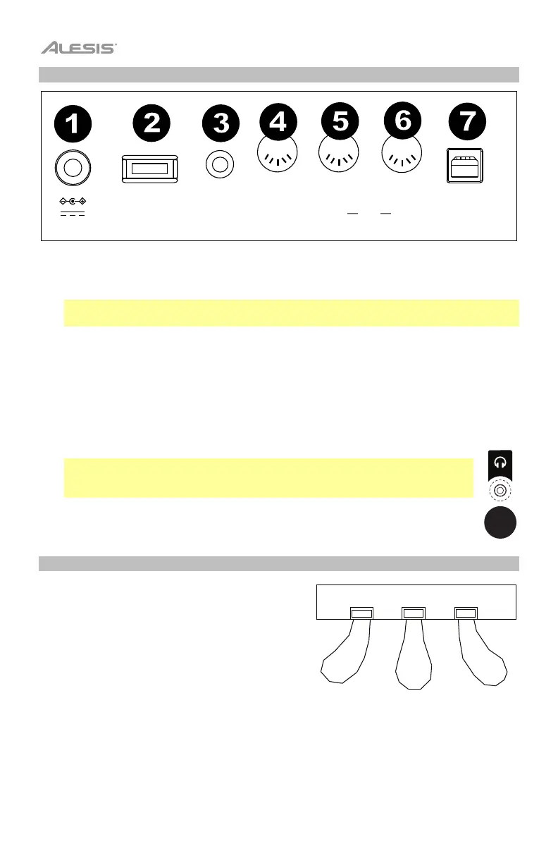 Page #8 background image