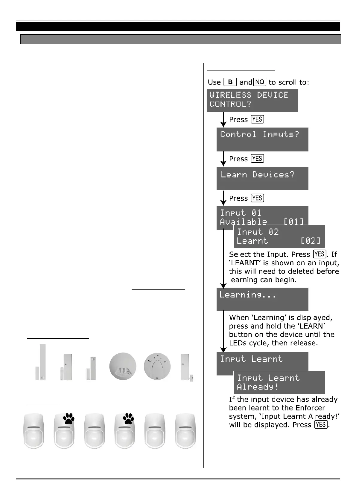 Page #6 background image