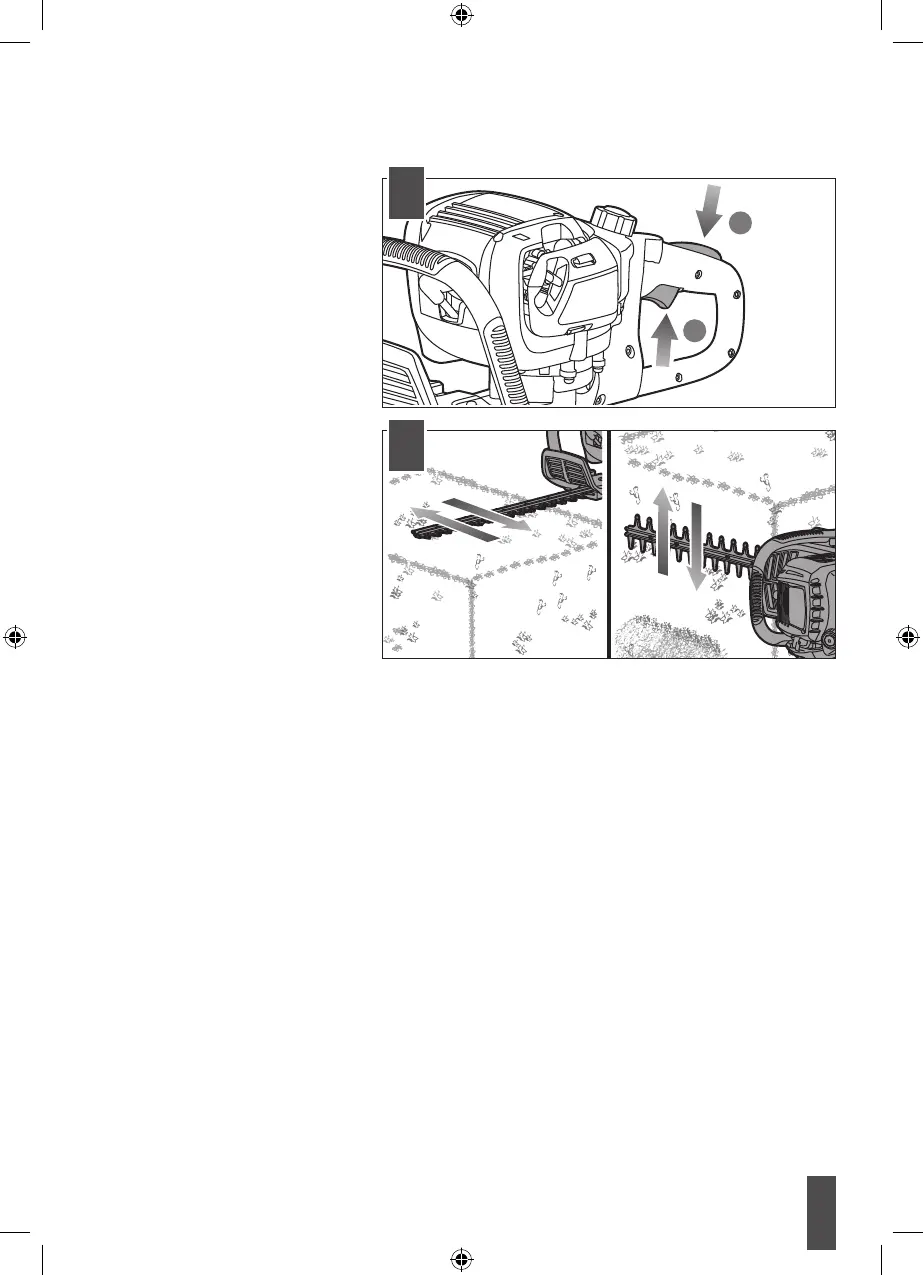 Page #19 background image